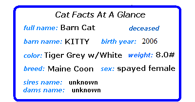 Cat Statistics At A Glance