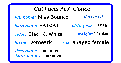 Cat Statistics At A Glance
