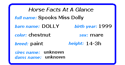 Horse Statistics At A Glance