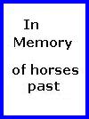 In Memory of Horses Past
