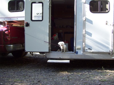 Missy standing in the doorway of the LQ part of the horse trailer.