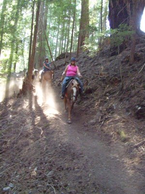 Jana riding Spot, Catherine riding Dolly, and Bobbi riding Hawk.