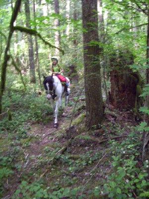 Cecelia riding Hawk deep in the forest.