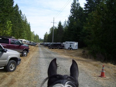 Returning to the trailhead, the horses search for their horsetrailer.